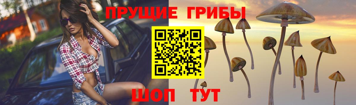 Галлюциногенные грибы Psilocybe  Вход с VPN  Муравленко 